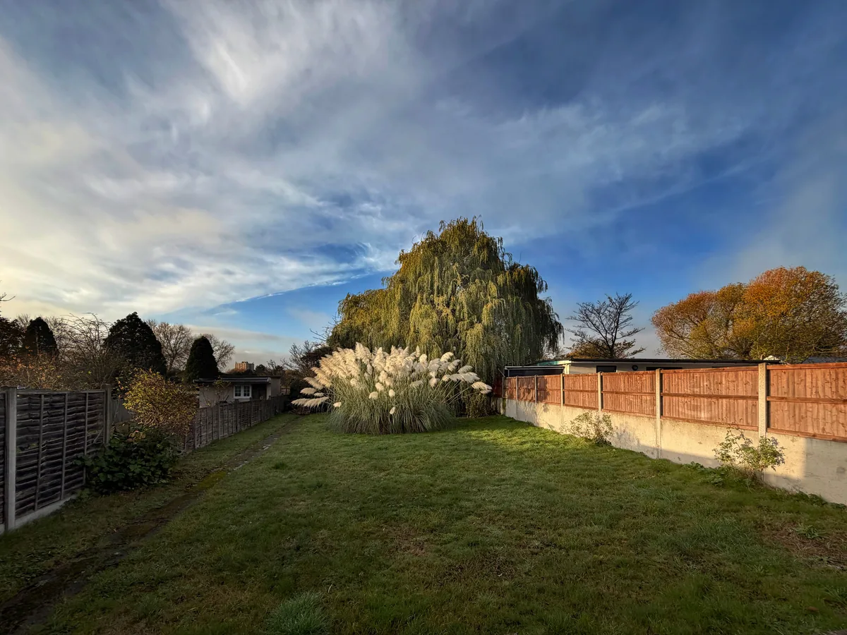 A bare Front Range back yard with thin turf and a wooden fence